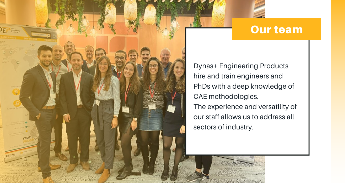 Our team. Dynas+ Engineering Products hire and train engineers and PhDs with a deep knowledge of CAE methodologies. The experience and versatility of our staff allows us to address all sectors of industry. 